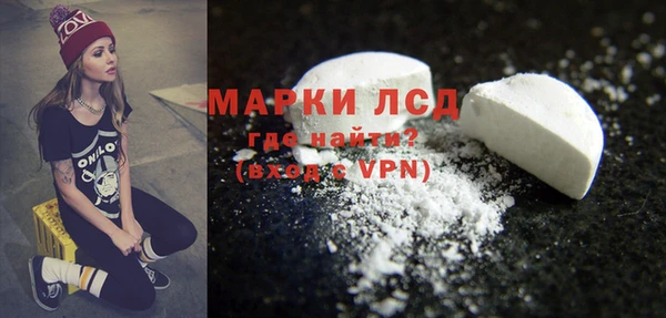 сатива Аркадак