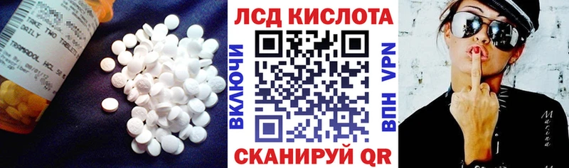 дарнет шоп  Спас-Деменск  Лсд 25 экстази кислота 